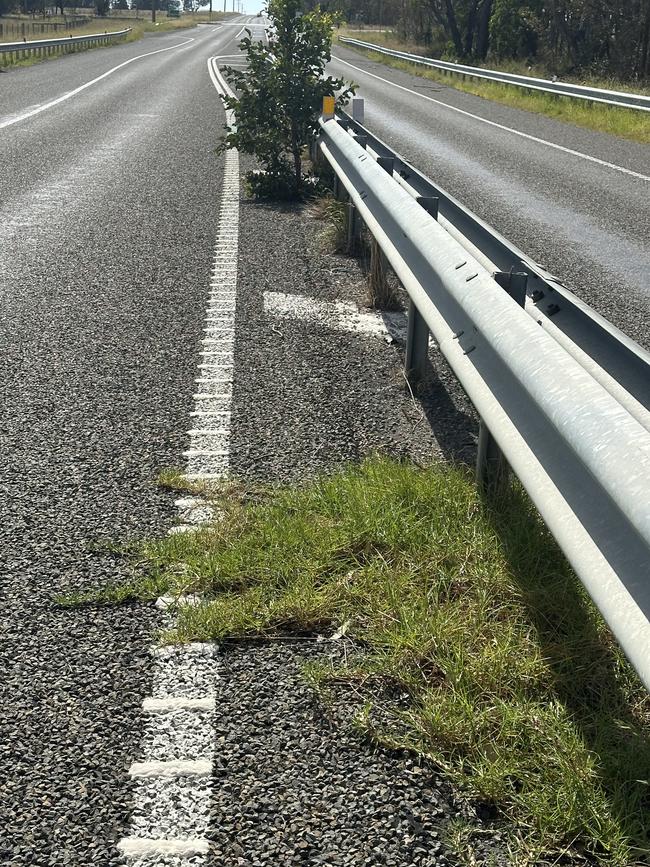 It's not just trees, but grass that is also growing through cracks and spreading out onto the Princes Hwy.