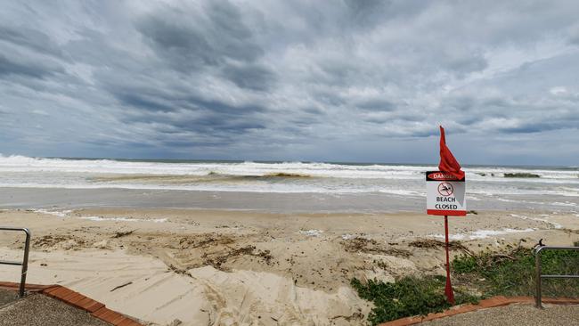The Sunshine Coast council has proposed to ban off-leash dogs off a 1km stretch of beach. Picture: Lachie Millard