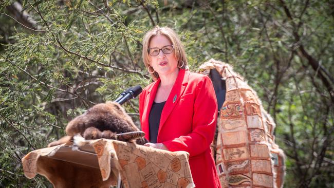 Premier Jacinta Allan says we have much to be grateful for as Australians. Picture: Justin McManus.