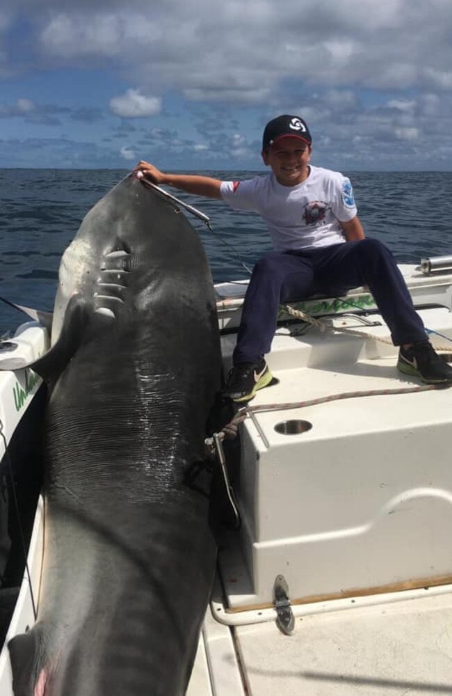 Jayden Millauro with the tiger shark that could break a 22-year world record.