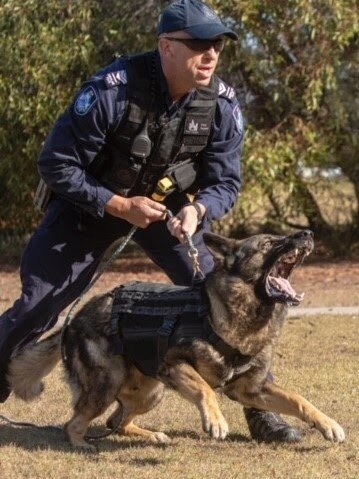 PD Rambo's handler was Sgt Ian Grigoris. Picture Police Media