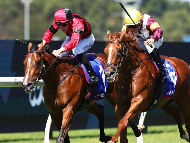 SYDNEY, AUSTRALIA - MARCH 30: Tommy Berry riding Linebacker wins Race 3 Hyland Race Colours Baillieu during "Stakes Day" - Sydney Racing at Rosehill Gardens on March 30, 2024 in Sydney, Australia. (Photo by Jeremy Ng/Getty Images)