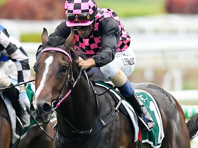 Jockey Robbie Fradd rides Rothfire to victory in race 1, the QTIS 2YO Handicap, during Saturday Raceday at Eagle Farm Racecourse in Brisbane, Saturday, February 15, 2020. (AAP Image/Albert Perez) NO ARCHIVING, EDITORIAL USE ONLY