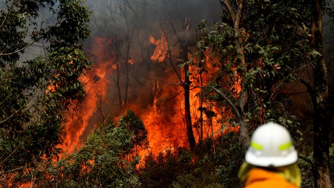 Firefighters have been active in the Blue Mountains for months. Picture: Jeremy Piper