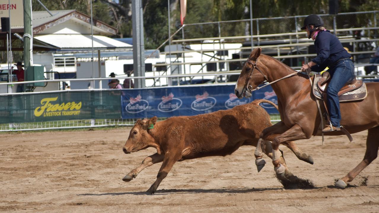 Kimberly Harries riding Leroy in the Warwick Canning Downs Campdraft.