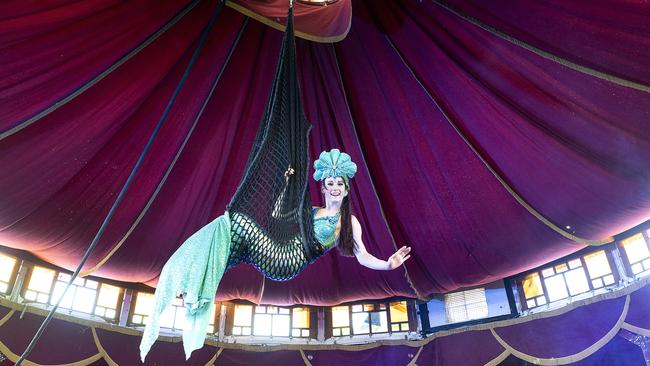 Wonderland Spiegeltent comes to Townsville as part of the North Australian Festival of Arts.