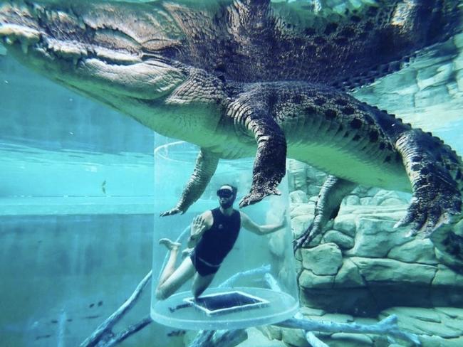 Cage of Death experience at Darwin's Crocosaurus Cove in the Northern Territory. Picture: Crocosaurus Cove Instagram