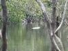 Footage emerges as search continues for Straddie ‘crocodile’