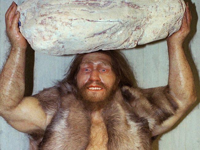 Oldest Neanderthal Dna Ever Found Au — Australias Leading News Site 4153