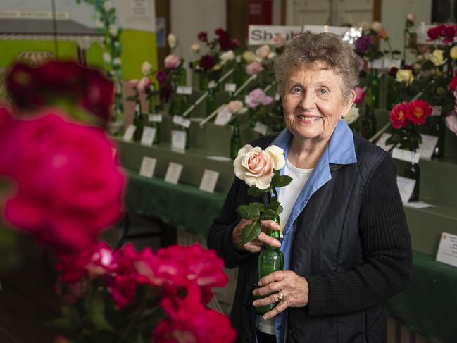 Judith Hudson with her Shirley-S rose, the reserve champion of the Queensland Rose Society Darling Downs Group autumn show, Saturday, May 4, 2024. Picture: Kevin Farmer