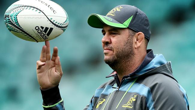 Michael Cheika during the Wallabies training session at Allianz Stadium , Moore Park . Picture : Gregg Porteous