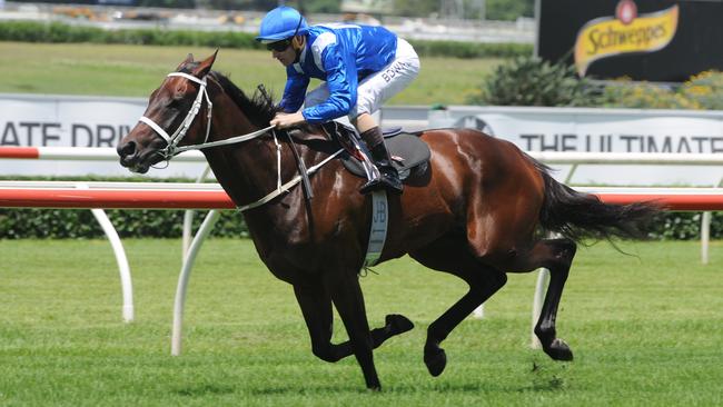 Hugh Bowman and Winx could become a famous combination