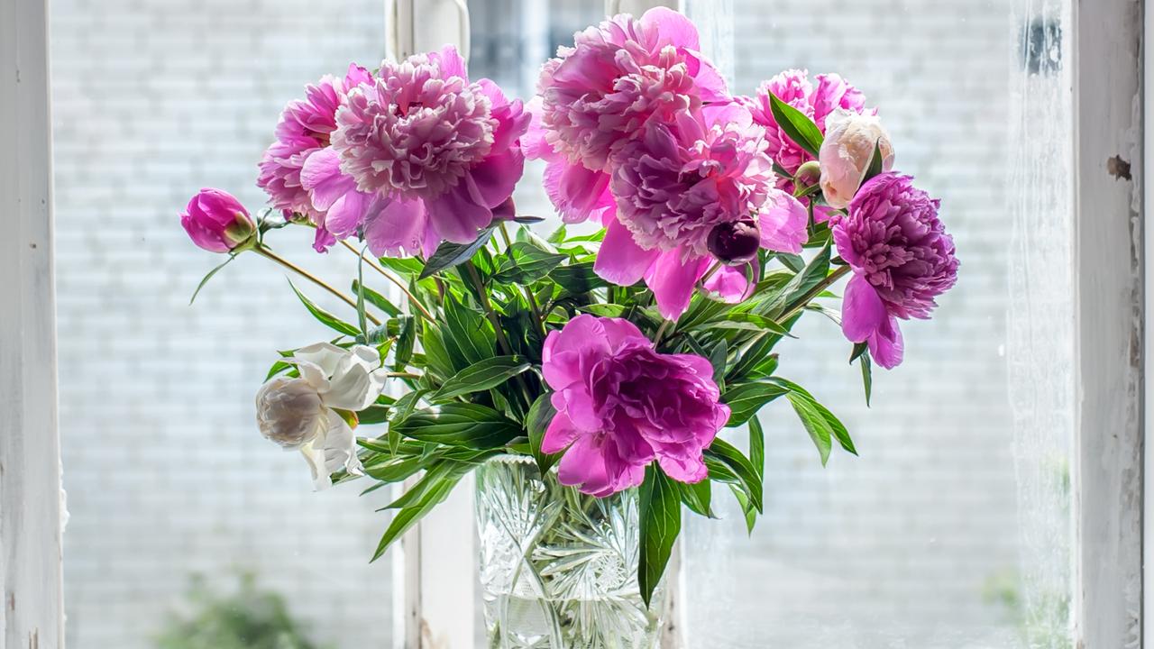 Fresh flowers are one of the luxuries the Sydney nurse likes to have in her house. Picture: Supplied