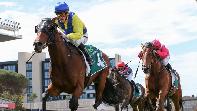 Apulia is set to fire third-up in the Group 3 Eclipse Stakes at Caulfield. Picture: Racing Photos via Getty Images