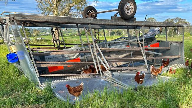 Forage Farms in Kybong have revealed the extent of damage the winds like a mini-cyclone did to their chicken coups and houses on the property. Picture: Forage Farms