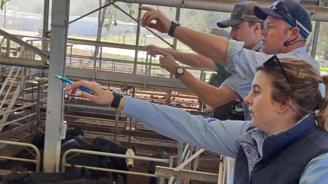 AWN agents take bids at the Wangaratta store sale.