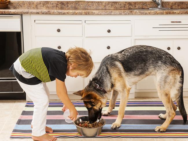 Kids doing chores. iStock image. For Kids News and Hibernation