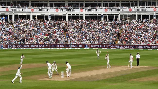 Tim Paine’s filed placings at times left spectators scratching their heads.