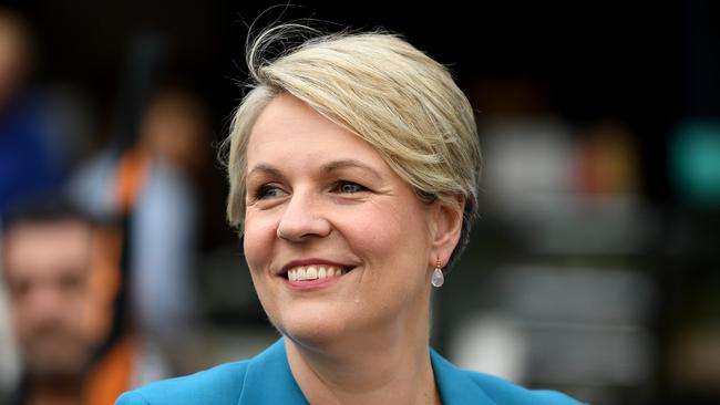 Opposition education spokeswoman Tanya Plibersek. Picture: NCA NewsWire/Joel Carrett