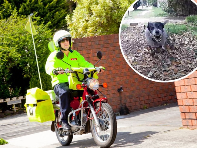 Posties across Australia will now carry citronella spray to ward off aggressive dogs, as attacks rise at an alarming rate, Australia Post says