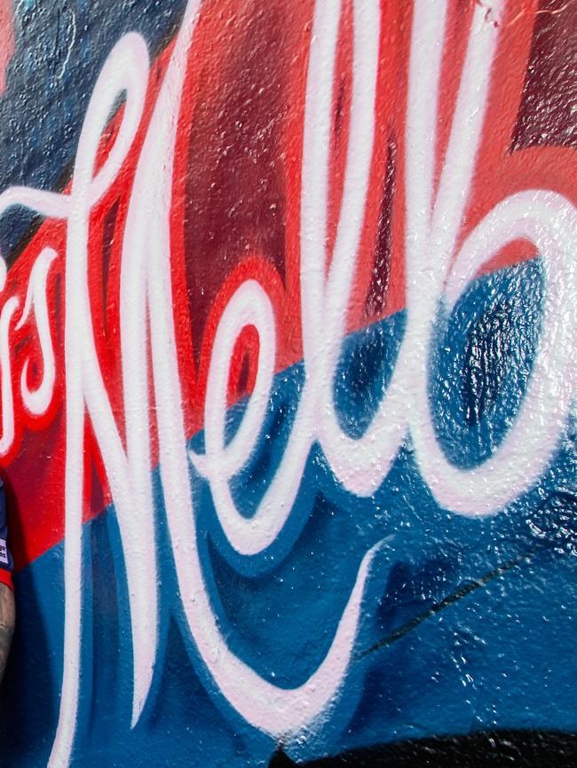 Melbourne Football Club’s logo was wanted in the lane in 2015. Picture: Mark Dadswell