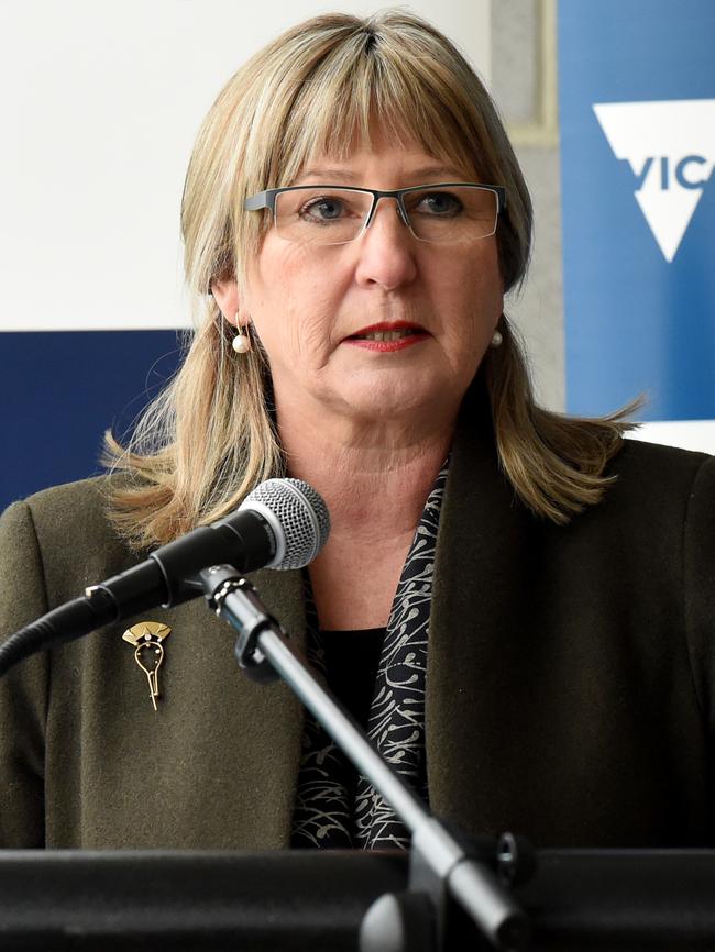 Corrections Minister Gayle Tierney. Picture: Kylie Else