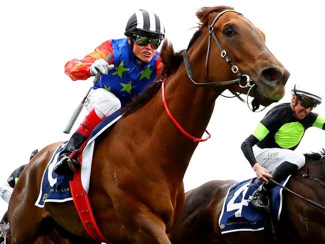 SYDNEY, AUSTRALIA - NOVEMBER 04:  Craig Williams riding Bella Nipotina wins Race 7 Giga Kick Stakes during James Squire Golden Eagle Day - Sydney Racing at Rosehill Gardens on November 04, 2023 in Sydney, Australia. (Photo by Jeremy Ng/Getty Images)