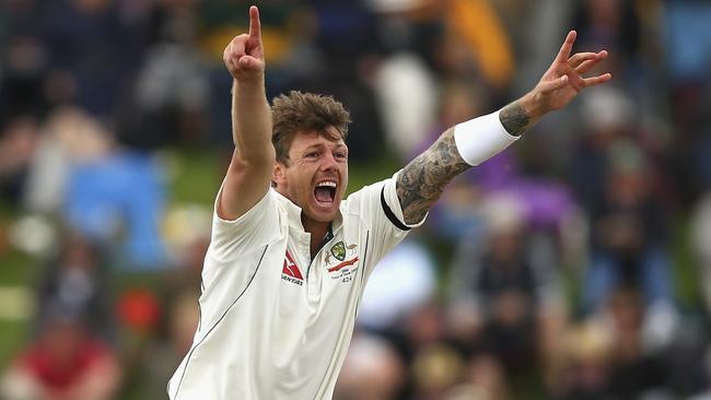 James Pattinson has been ruled out of the Ashes series due to a back injury.