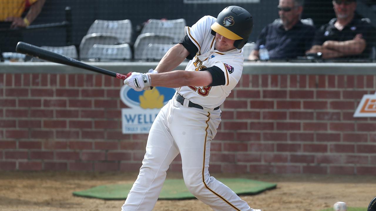 Baseball Brisbane Bandits slump to five-game at hands of Blue Sox in Sydney The Courier Mail