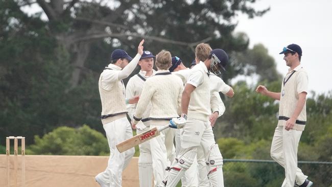 Geelong players celebrate a wicket. Picture: Valeriu Campan