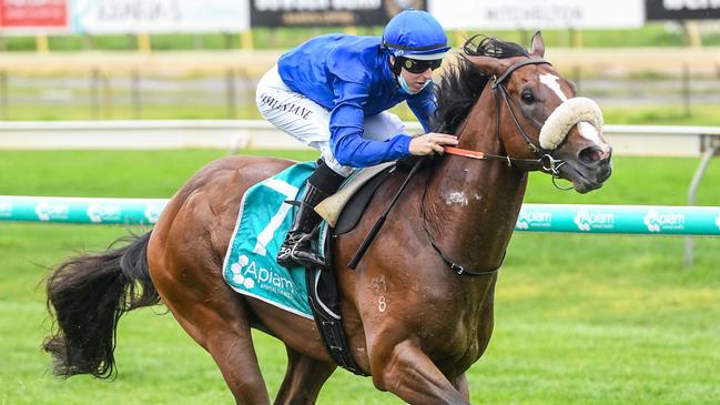 Micro can go one better than his first-up second when he steps out at Randwick this weekend. Picture: Racing Photos via Getty Images