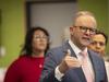 Albanese’s free NBN scheme slammed