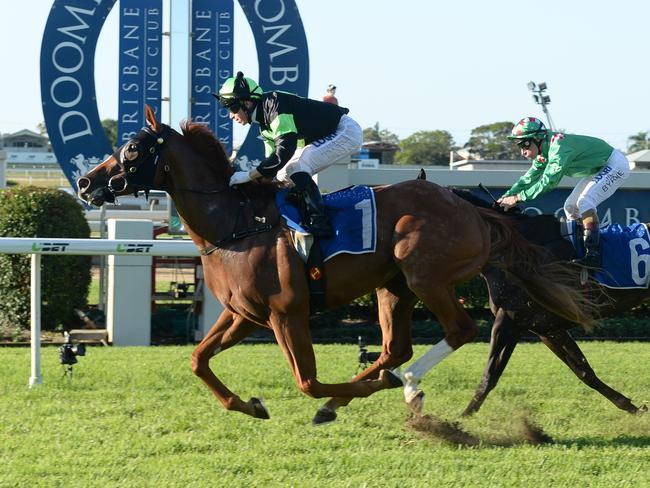 Holding form: Sir Moments winning at Doomben on Saturday. Picture: Grant Peters, Trackside Photography