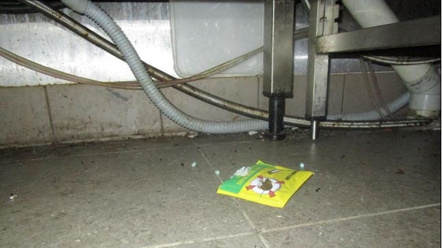 A photograph of rodent droppings and rodenticide on the floor underneath a dishwasher and adjacent benches in the kitchen area.