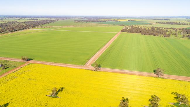 AAM’s Sunshine Farms aggregation spans 14,025ha across five farms.