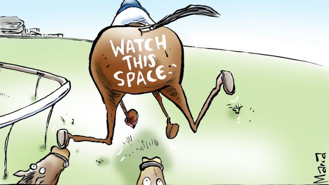 Macca's take on how far the mighty Winx will win the Turnbull Stakes.