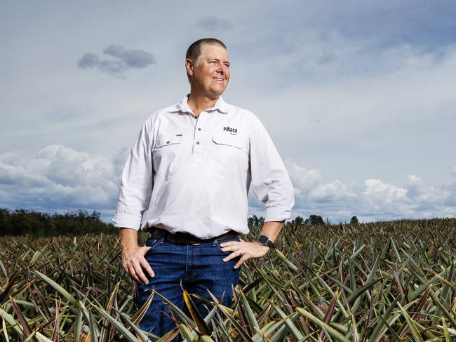 Fruit grower Gavin Scurr from Piâata Farms in one of his pineapple fields which will directly benefit from the new Wamuran Irrigation Scheme, part of a $120 million project from Unitywater providing a reliable, climate independent source of A1 recycled water for local farmers in the Moreton Bay fruit bowl. Picture Lachie Millard