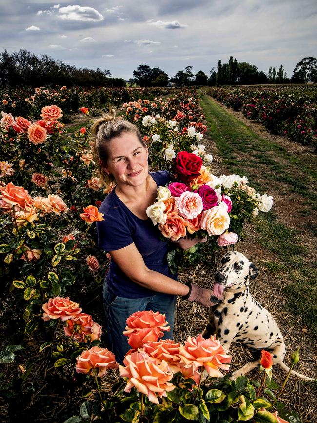 Soho Rose Farm owner Kristy Tippett with dog Zephie. Picture: Nicole Cleary