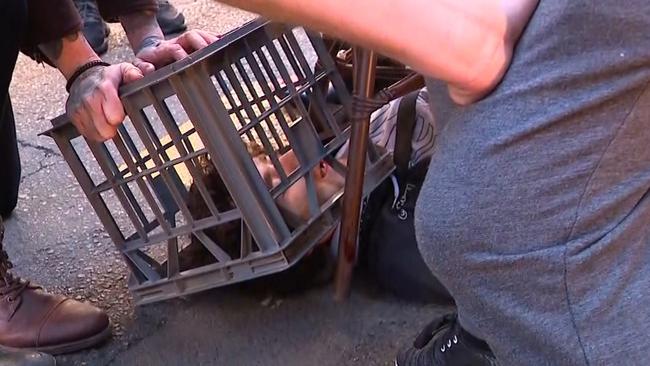 A milk crate was used to pin down the man’s head. Picture: Seven News