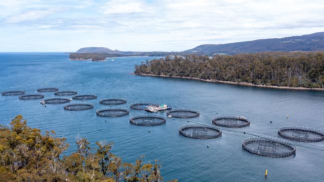 Tassal salmon pens at Long Bay, Tasman Peninsula. Picture: Supplied.