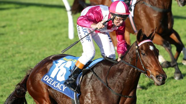 9.5.2015.Group 1 racing at Morphettville. Main race is $500,000 SA Derby.Winner no 16 ' Delicacy' jockey Peter Hall shows his excitement of the win. pic tait schmaal.