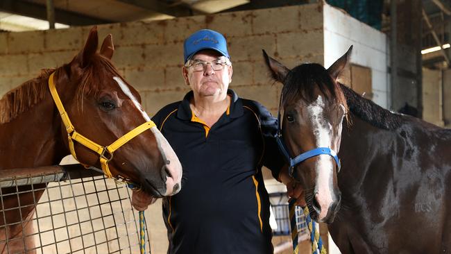 Cairns trainer Trevor Rowe, pictured with Clever Hunter and Manoora Princess. PICTURE: STEWART MCLEAN