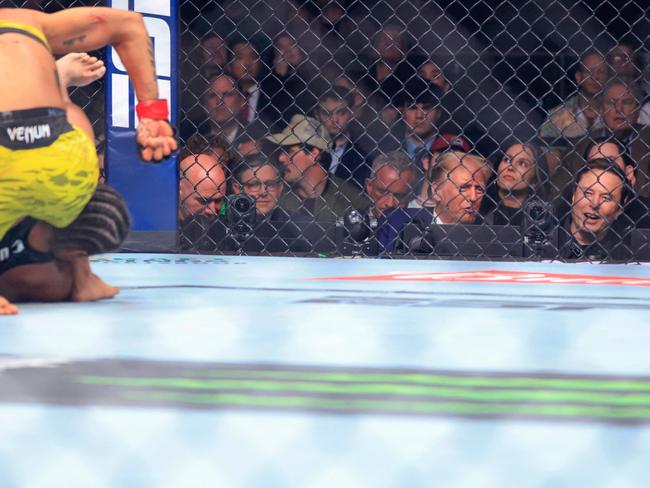 US President-elect Donald Trump and Tesla and SpaceX CEO Elon Musk watch Brazilian fighters Viviane Araujo and Karine Silva square off on the mat during the UFC 309 flyweight bout at Madison Square Garden in New York. Picture: Kena Betancur / AFP