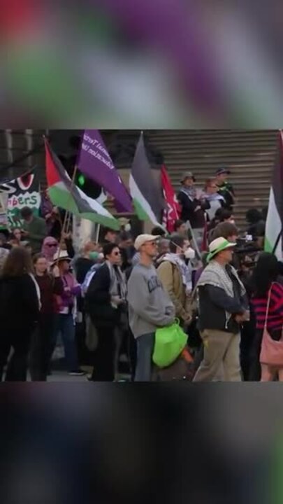 Pro-Palestine Protest at Myer Christmas Windows Event Cancelled