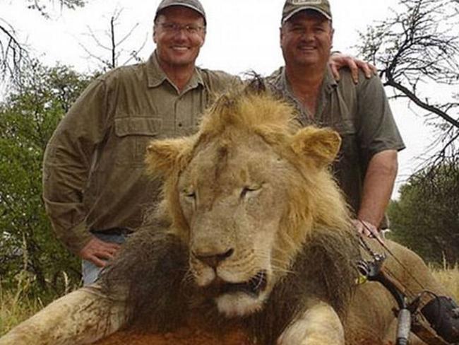 The beginning of outrage ... The picture of Cecil the lion as a hunting trophy for American dentist Walter Palmer, a dedicated hunter. Picture: Facebook