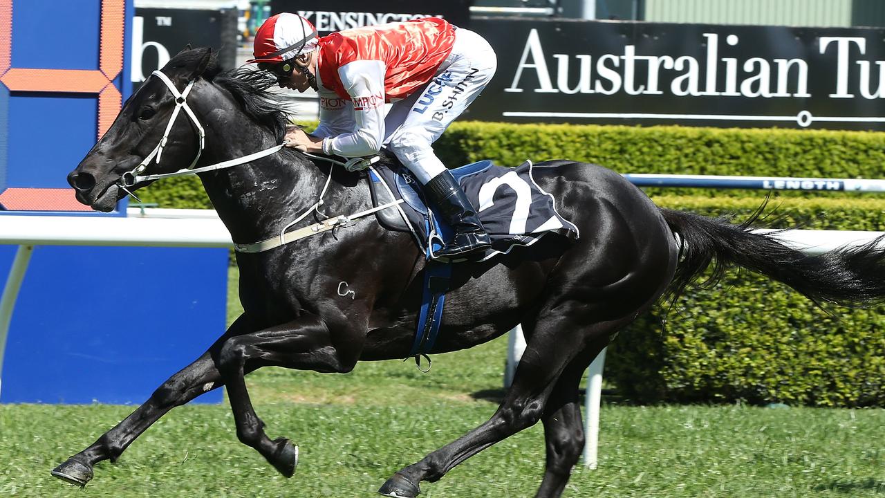 SYDNEY, AUSTRALIA - OCTOBER 18: Blake Shinn rides Kuro during Sydney Racing at Royal Randwick Racecourse on October 18, 2014 in Sydney, Australia. (Photo by Anthony Johnson/Getty Images)