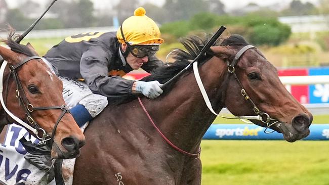 In-form filly Miss Roumbini can continue on her winning way in the first race at Caulfield on Saturday. Picture: Racing Photos via Getty Images