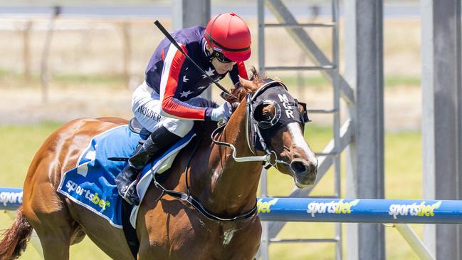 Gotta Go Guru, ridden by Jason Holder, wins a Benchmark 76 (2250m) on Saturday at Morphettville. Picture: Makoto Kaneko