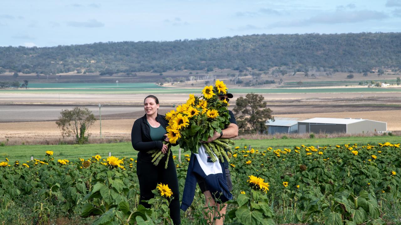 Dimitrije Tokovic and Disa Johansen.Open day at Warraba Sunflowers, Cambooya. Saturday June 29th, 2024