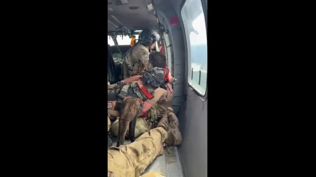 K-9 Assists National Guard With Flood-Relief Efforts In Kentucky | News ...